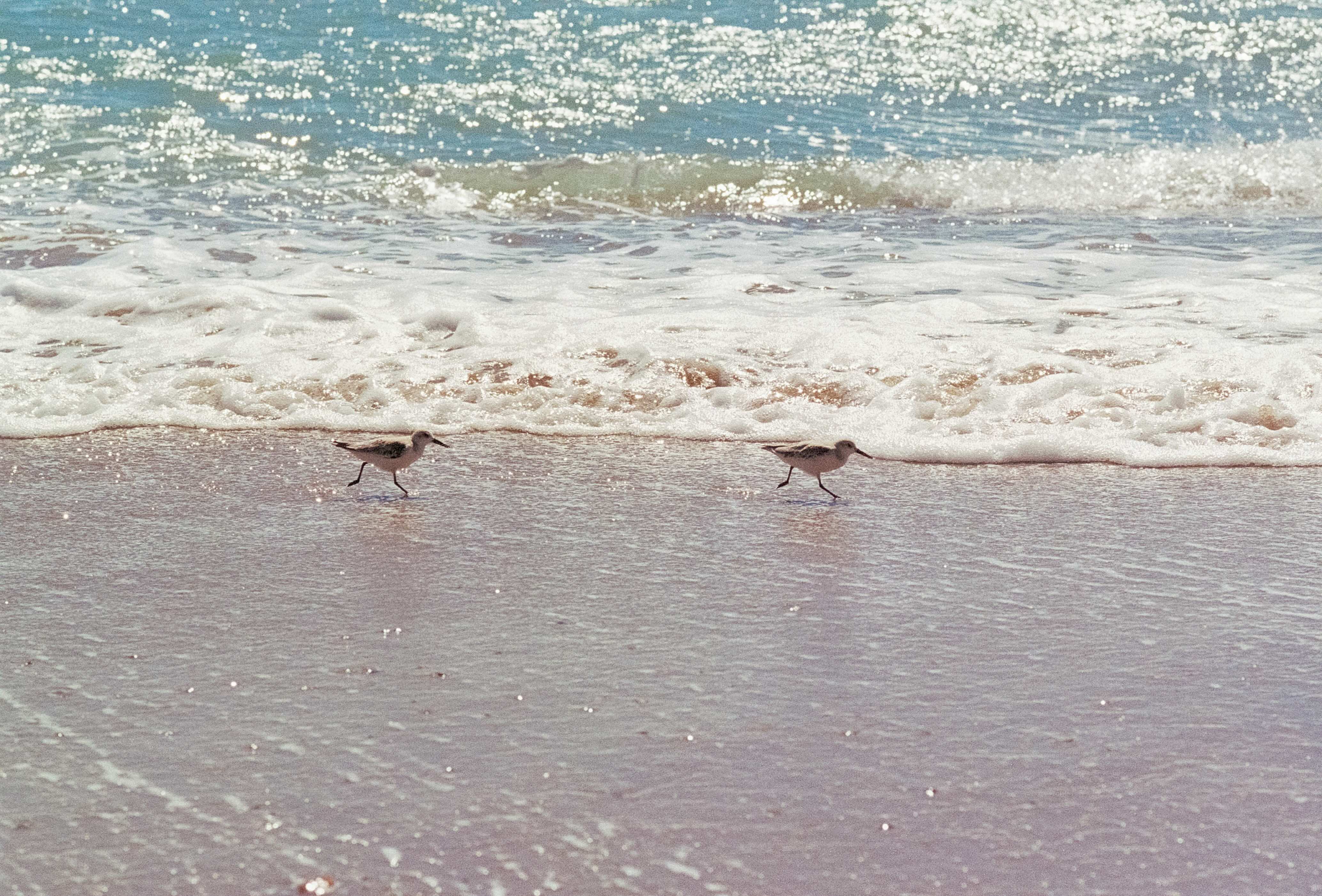 Together in Difference: Love in Neurodiverse Relationships